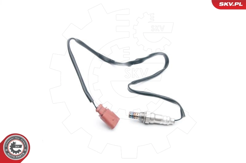 Oxygen Sensor